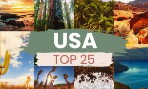 Kolaż zdjęć z USA: zachód słońca nad oceanem, sekwoje, palmy, kaniony, kaktusy, pustynia, lodowe formacje i jezioro.
