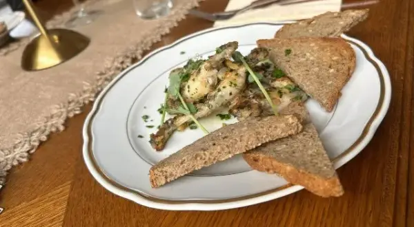 Co zjeść w Zielonej Górze? Odkryj najlepsze restauracje i dania