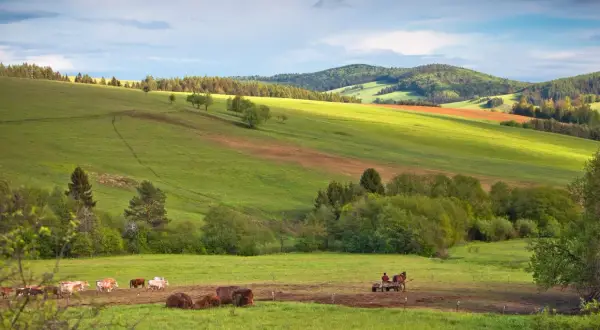 Tylicz jakie góry: odkryj piękno szlaków i szczytów w okolicy