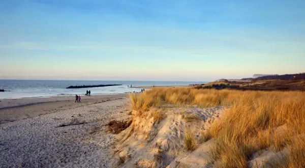 Plaża z wydmami porośniętymi trawą i ludźmi spacerującymi przy morzu.