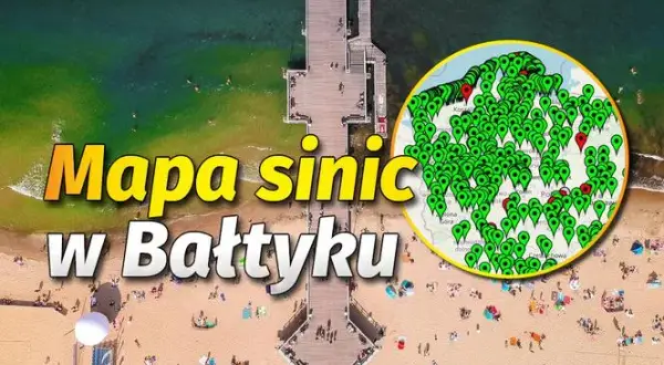 Gdzie sinice nad morzem? Sprawdź, gdzie nie można się kąpać